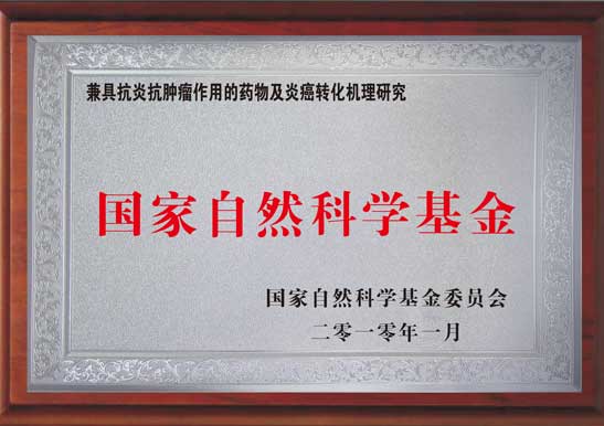 國家自然科學基金