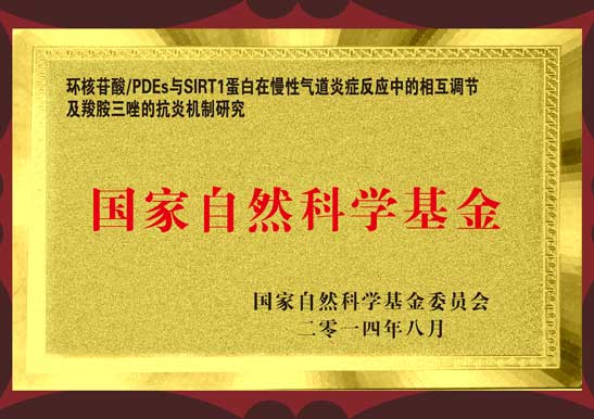 國家自然科學基金
