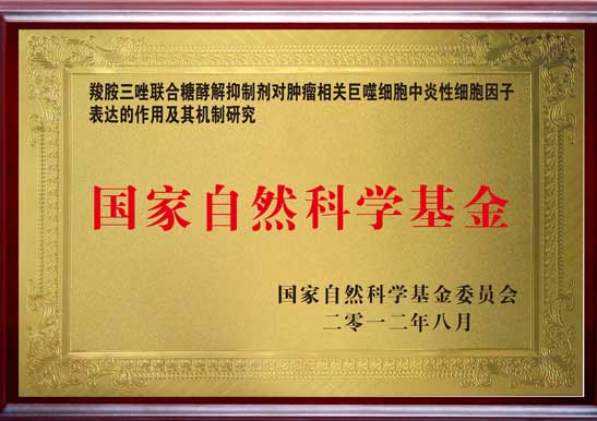 國家自然科學基金